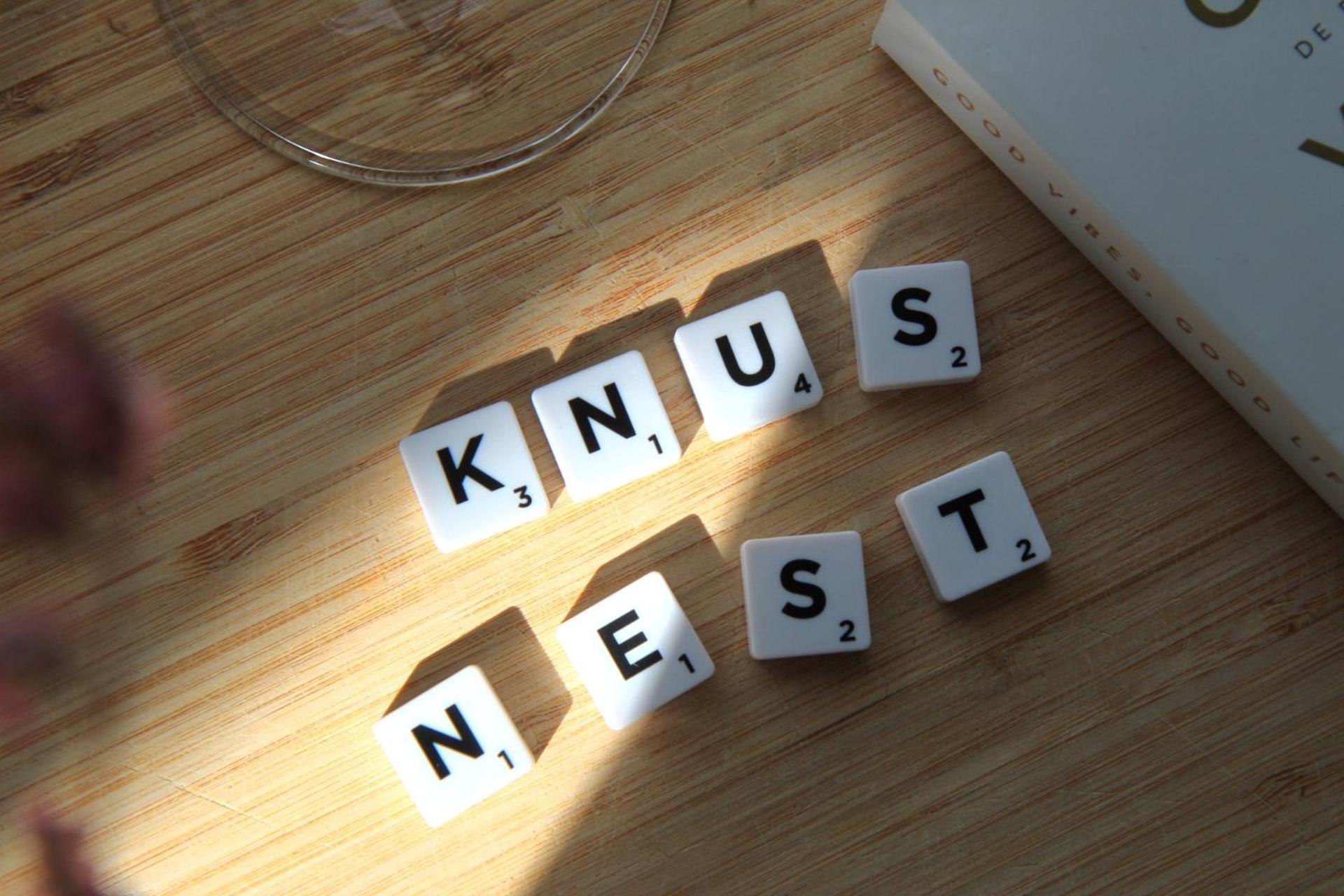 Buitenverblijf Nest Арнем Екстер'єр фото